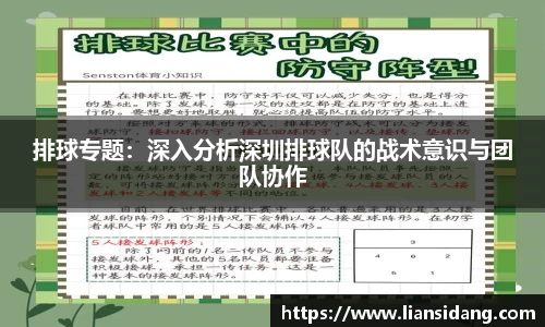 排球专题：深入分析深圳排球队的战术意识与团队协作