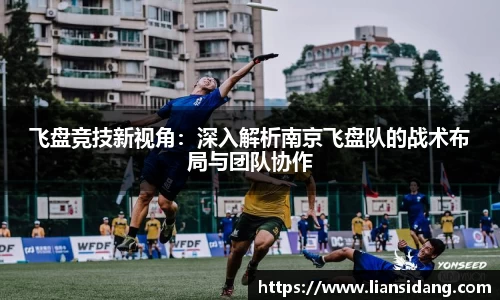 飞盘竞技新视角：深入解析南京飞盘队的战术布局与团队协作